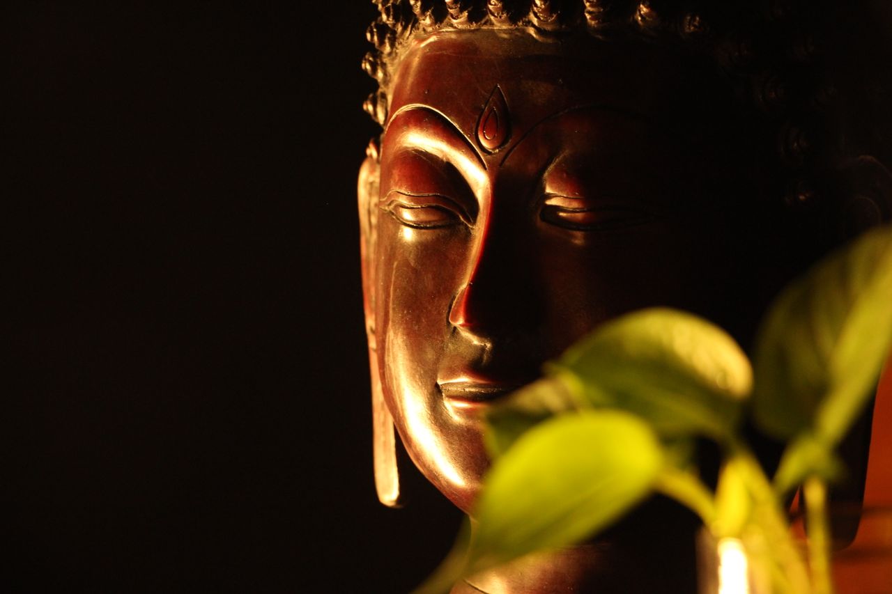 Close-up of a Buddha statue with soft plant leaves in a warm, serene ambiance.