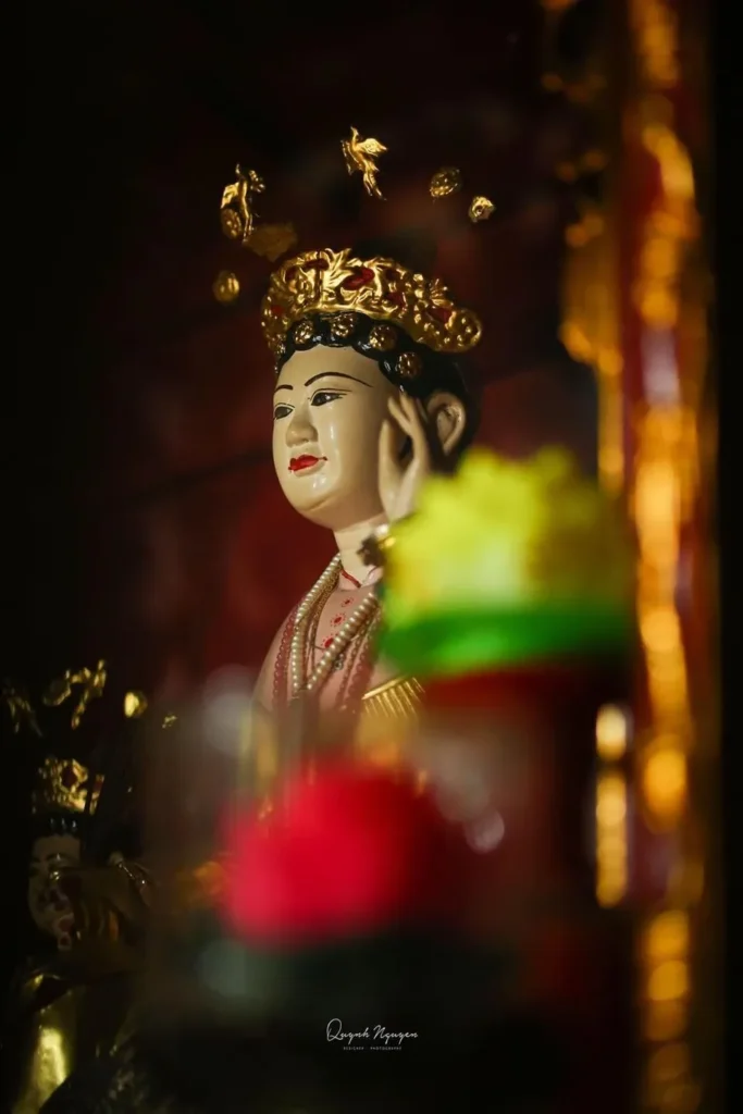 Co Chin tuong 4.jpg (73 kB)